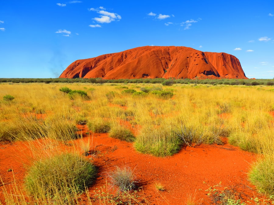 Kino australijskie: fascynujące okresy