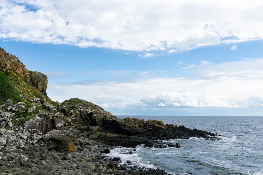 Photo Nordic landscape