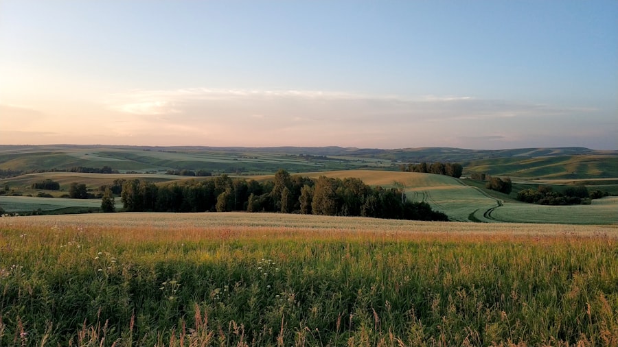 Edynburg dokumenty filmowe: szkic z życia miasta