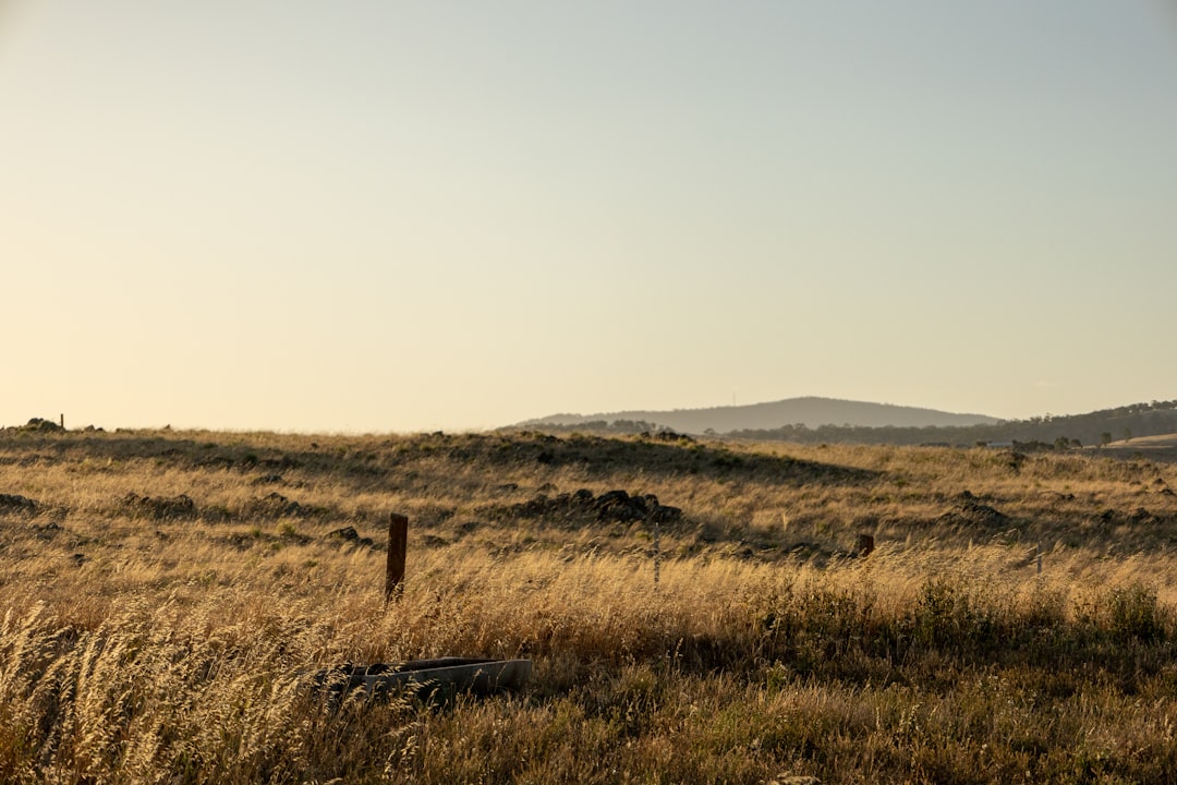 Photo Outback landscape