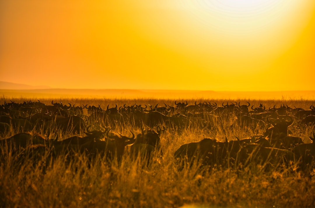 Photo African landscapes