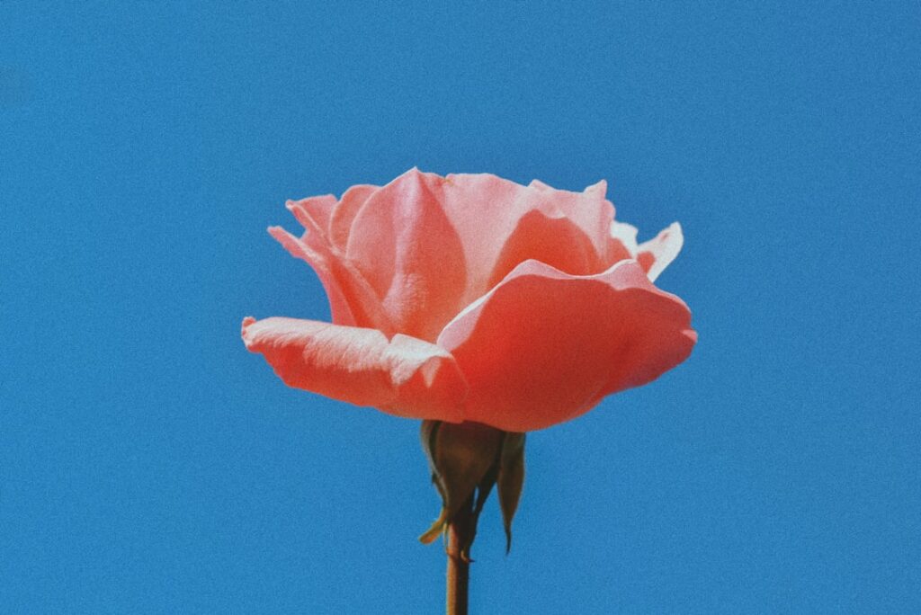 Photo Retro aesthetic