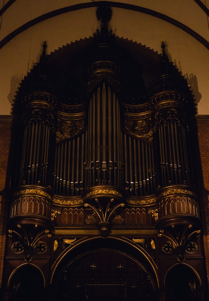 Photo Organ horror music