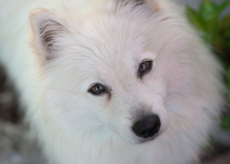 Recenzja Wolfs partnerzy: Wybór idealnych współpracowników