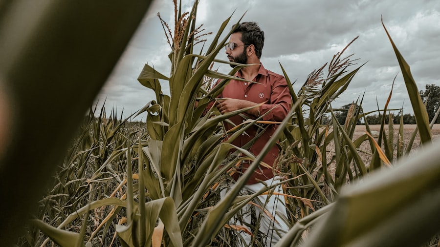 Recenzja filmu Harvest wizualna 1 Harvest visual review